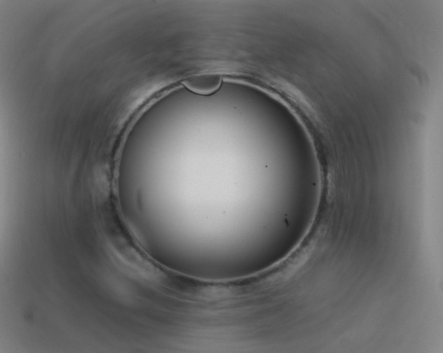 X0000114411212200910161158