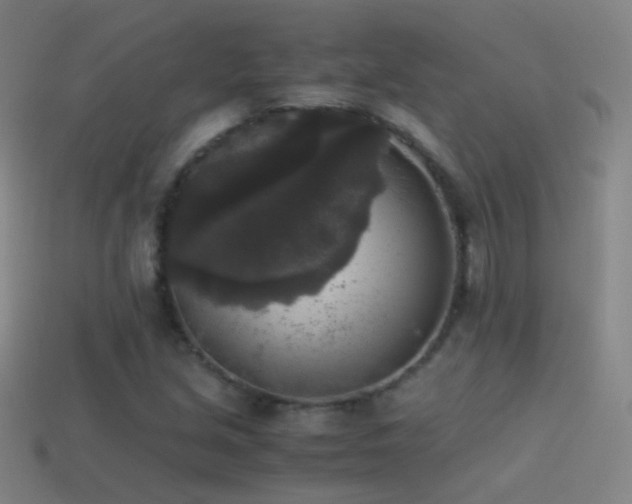 X0000114411213200910161158