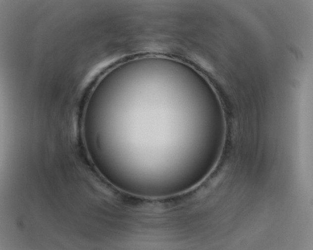 X0000114411214200910161158