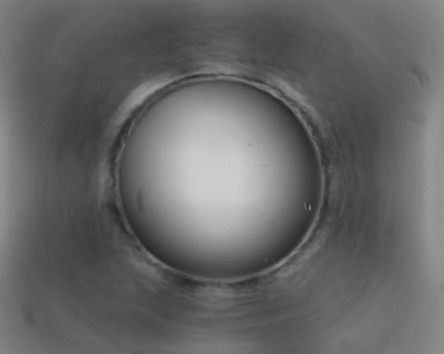 X0000114411215200910161158