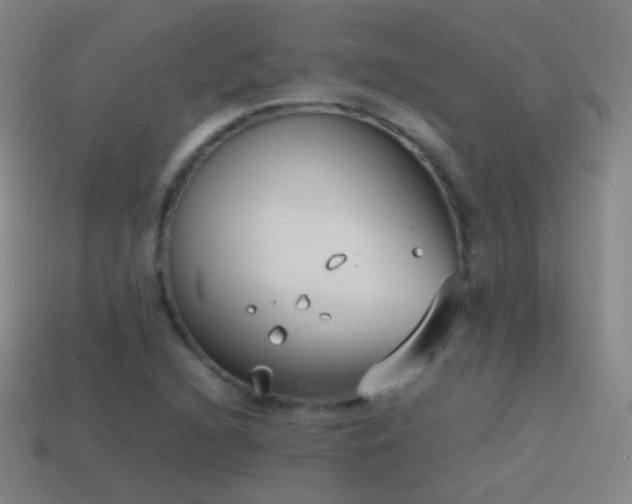 X0000114411216200910161158