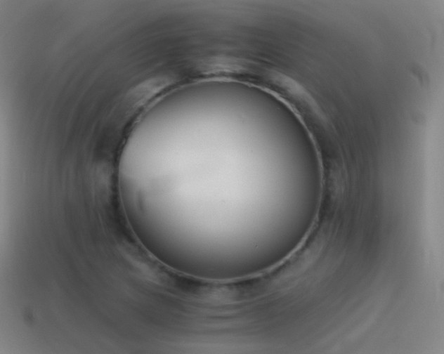 X0000114411217200910161158