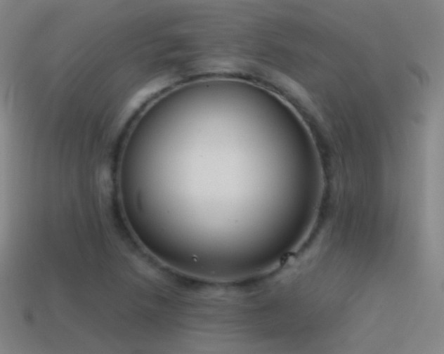 X0000114411218200910161158