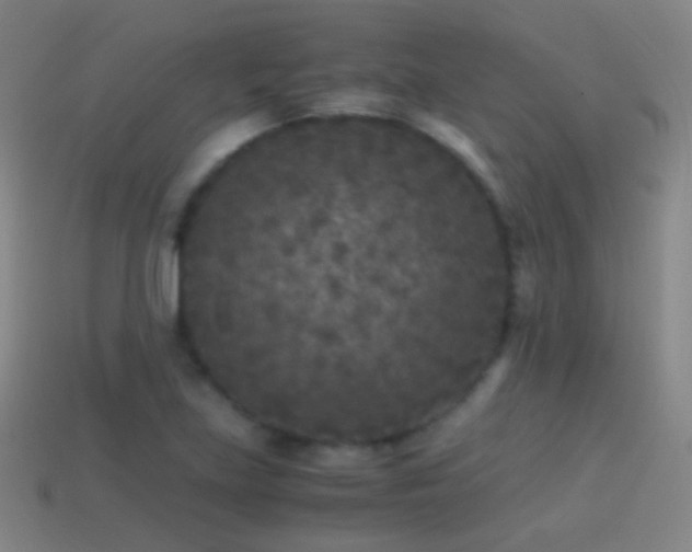 X0000114411219200910161158