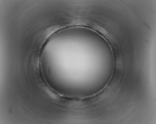 X0000114411220200910161158