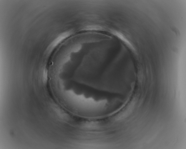 X0000114411221200910161158