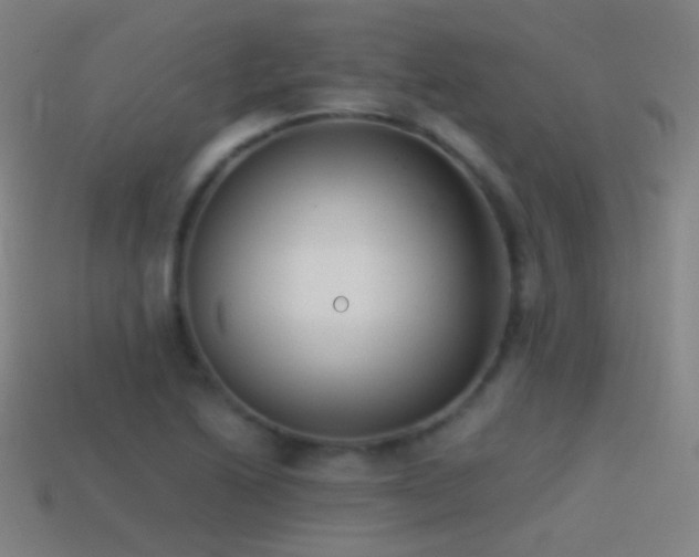 X0000114411222200910161158