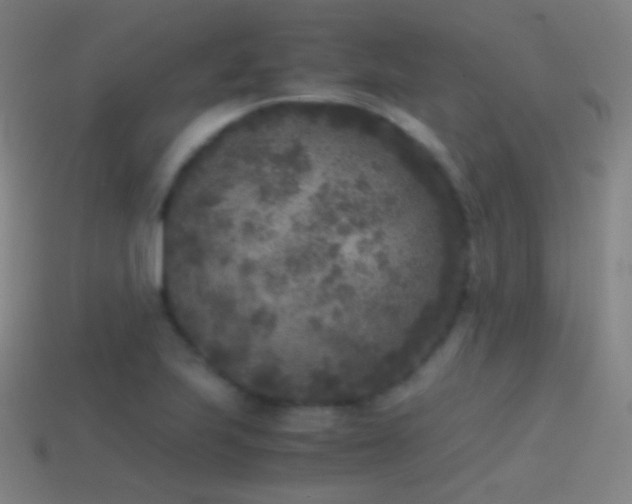X0000114411223200910161158