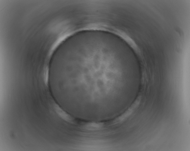 X0000114411224200910161158