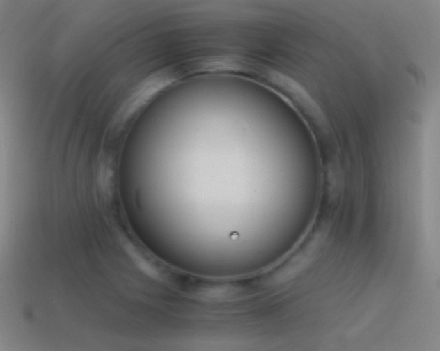 X0000114411225200910161158