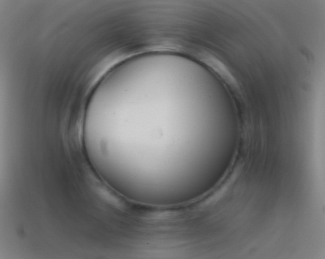 X0000114411228200910161158