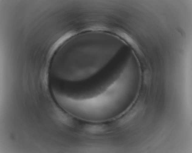 X0000114411229200910161158