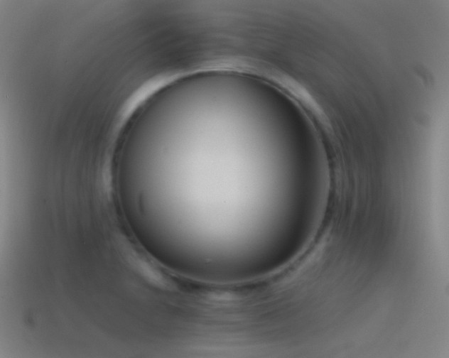 X0000114411230200910161159