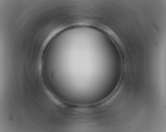 X0000114411232200910161159