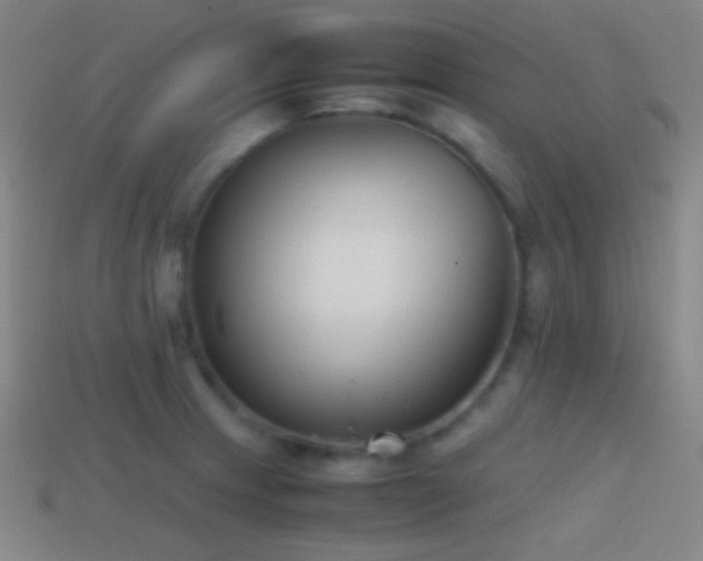 X0000114411233200910161159