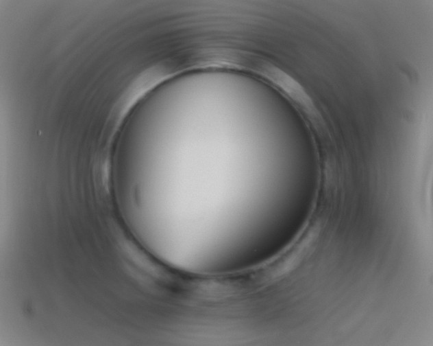 X0000114411234200910161159