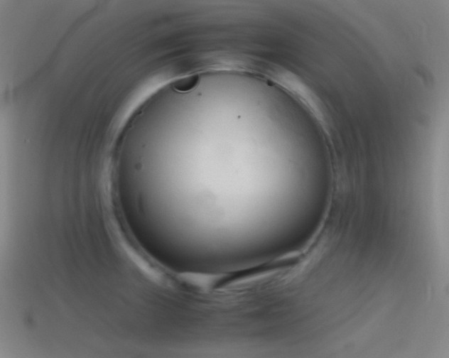 X0000114411235200910161159