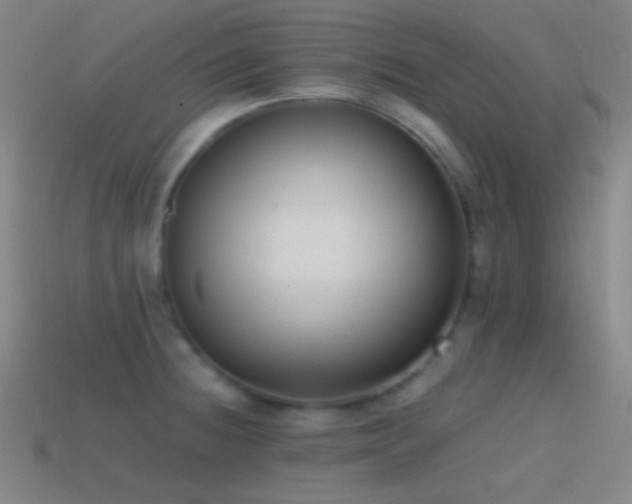 X0000114411236200910161159