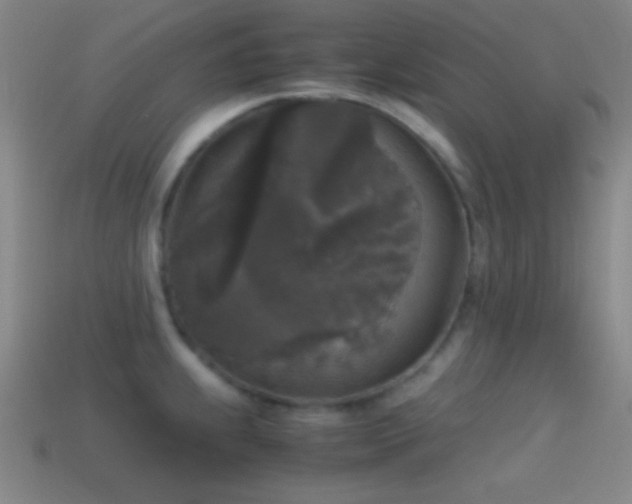 X0000114411239200910161159