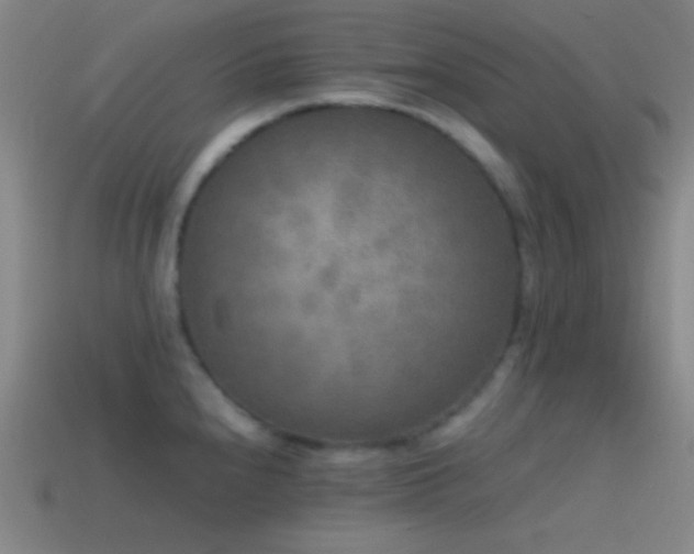 X0000114411240200910161159