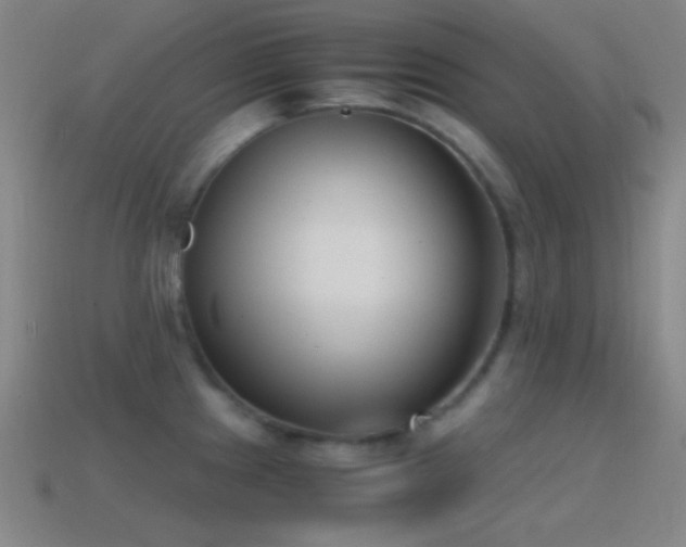 X0000114411241200910161159