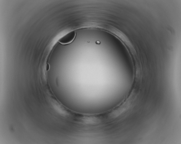 X0000114411242200910161159