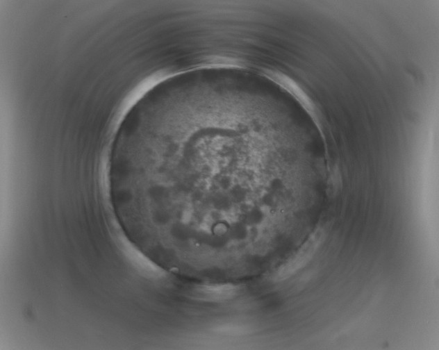 X0000114411243200910161159