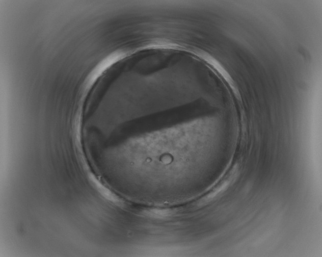 X0000114411245200910161159