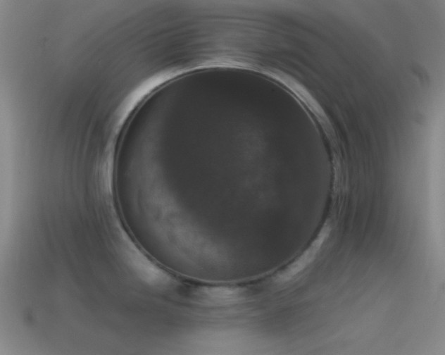 X0000114411246200910161159
