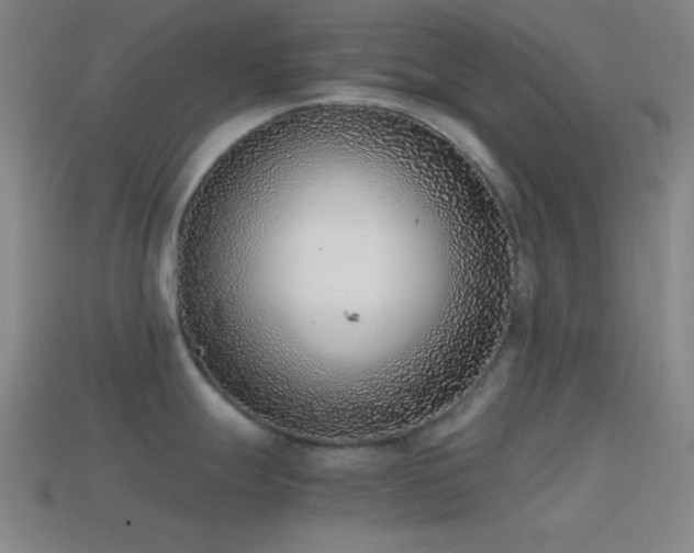 X0000114411247200910161159