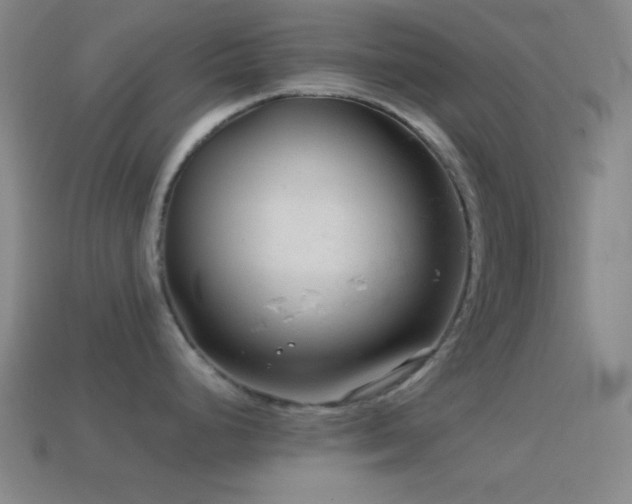X0000114411248200910161159
