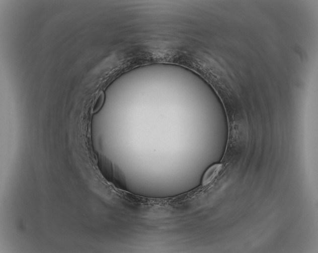 X0000114411249200910161158