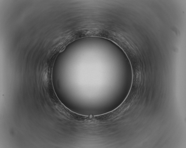 X0000114411250200910161158