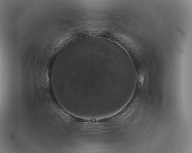 X0000114411252200910161158