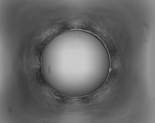 X0000114411253200910161158