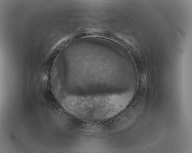 X0000114411254200910161158
