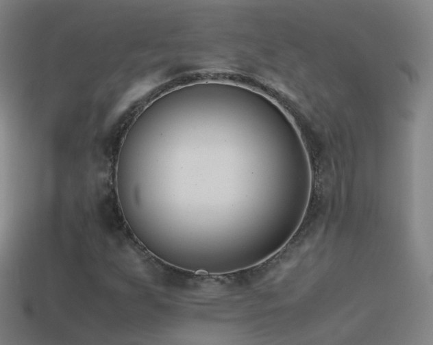 X0000114411255200910161158