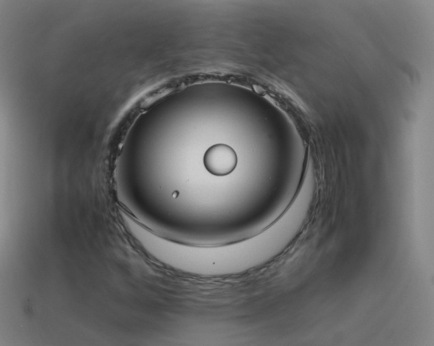 X0000114411256200910161158