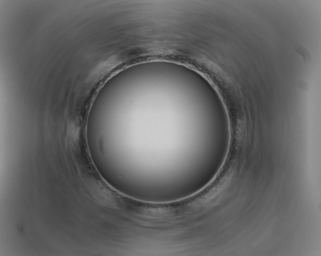 X0000114411257200910161158