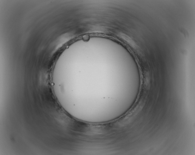 X0000114411258200910161158