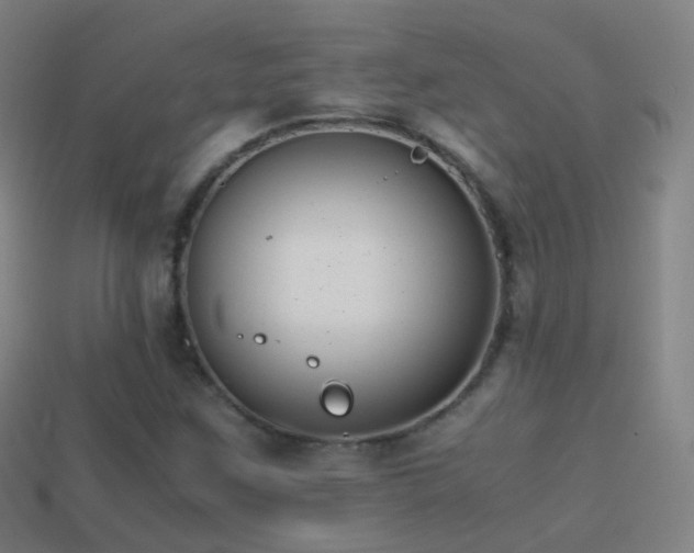 X0000114411259200910161158