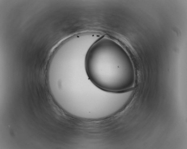 X0000114411260200910161158