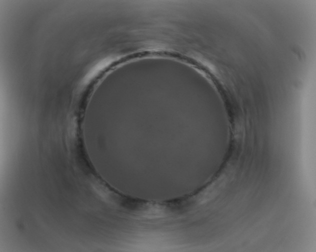 X0000114411263200910161158