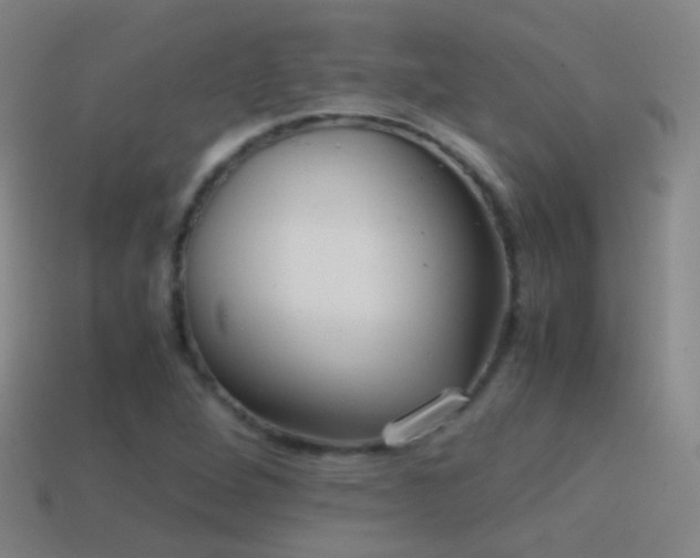 X0000114411264200910161158