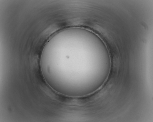 X0000114411265200910161158
