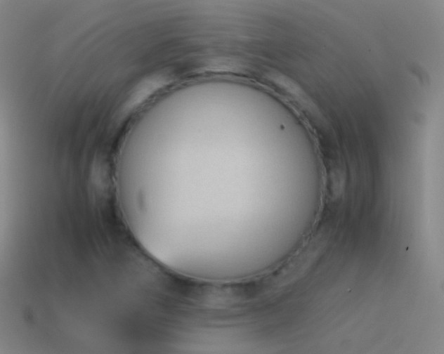 X0000114411266200910161158
