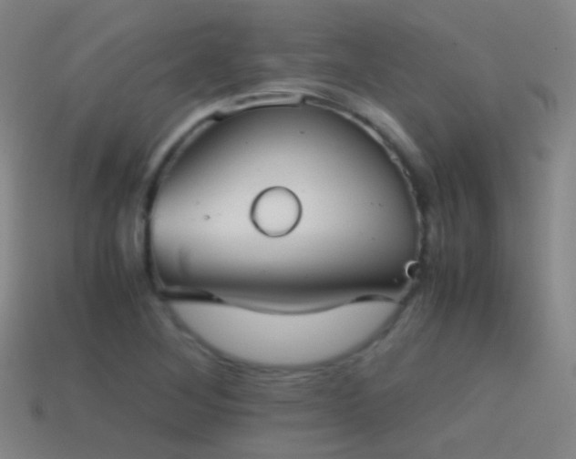 X0000114411268200910161158
