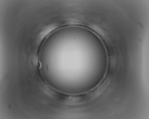 X0000114411269200910161158