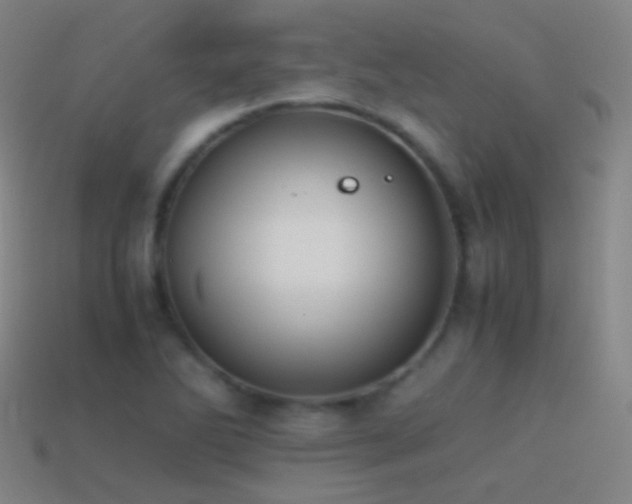 X0000114411270200910161158