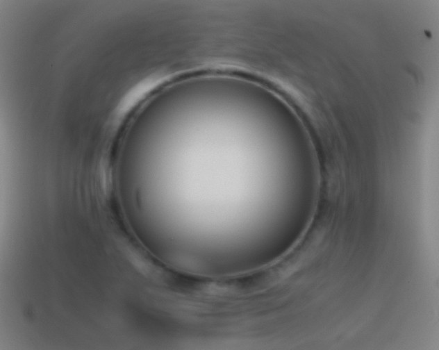 X0000114411271200910161158